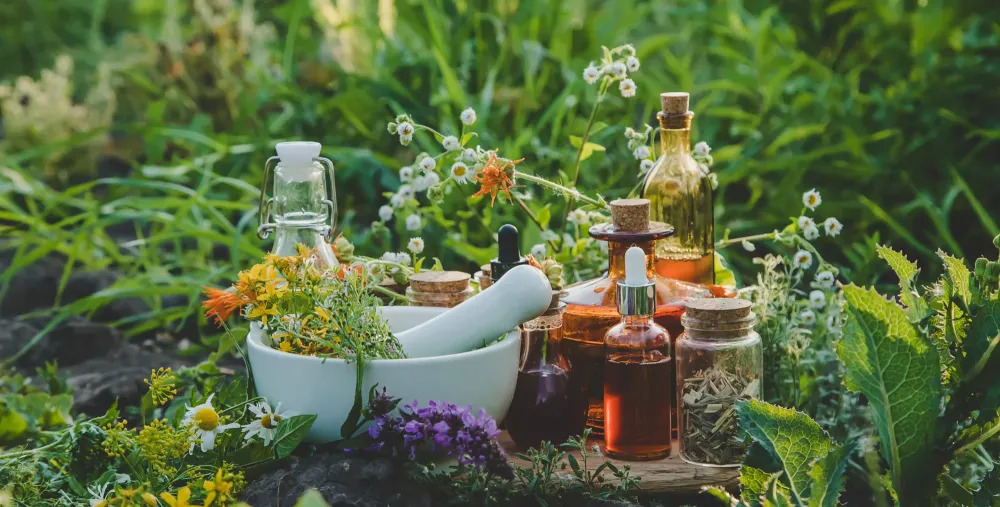 Homéopathie à Montfort-en-Chalosse