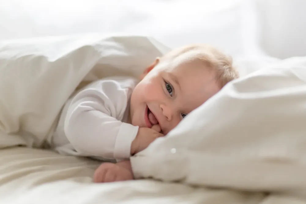 bebe (3)